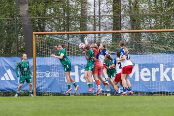 Bild 351 - wBJ Hamburger SV - SV Werder Bremen : Ergebnis: 2:2